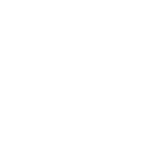 cropped linying logo.png